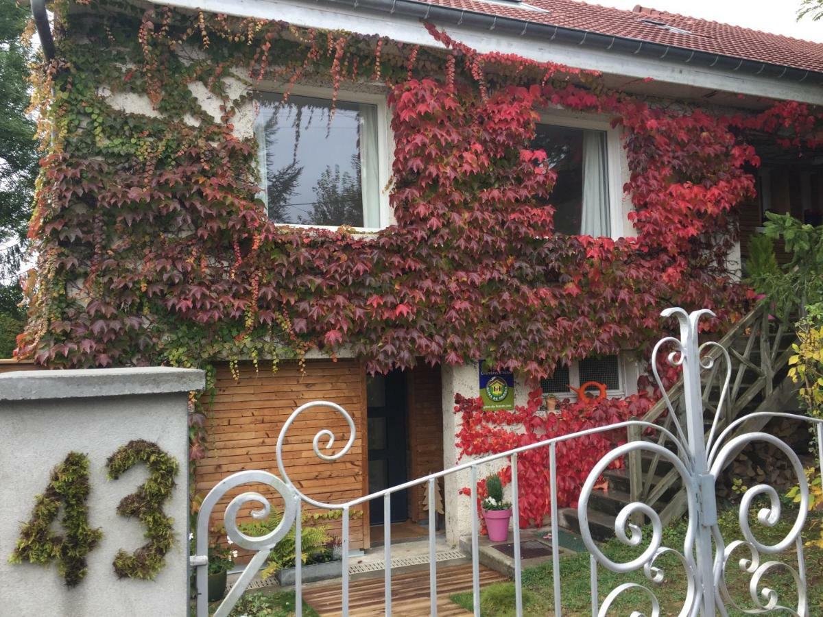 La Sapiniere De Vittel Villa Exterior photo